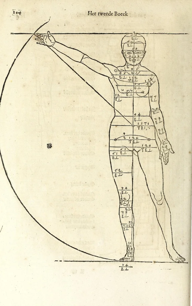 An illustration from Beschryvinghe van Albrecht Durer van de menschelijcke proportion : begrepen in vier onderscheyden boecken, zeer nut ende profijtelijck voor alle lief-hebbers defer konste : in't latijn ende hooghduytsch, tot Nurenbergh ghedruct, tot koste van syne nae-ghelaten weduvve, in't iaer ons Heeren 1527 : ende nu in onse Nederlandtsche sprake over-gheset, tot dienste der ghener die de konste beminnen, ende de latijnsche ofte hooghduytsche sprake niet en cerstaen, 1622, leaf 132