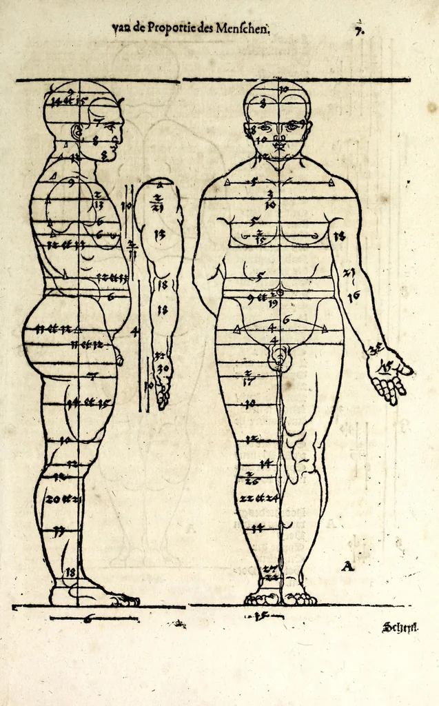 An illustration from Beschryvinghe van Albrecht Durer van de menschelijcke proportion : begrepen in vier onderscheyden boecken, zeer nut ende profijtelijck voor alle lief-hebbers defer konste : in't latijn ende hooghduytsch, tot Nurenbergh ghedruct, tot koste van syne nae-ghelaten weduvve, in't iaer ons Heeren 1527 : ende nu in onse Nederlandtsche sprake over-gheset, tot dienste der ghener die de konste beminnen, ende de latijnsche ofte hooghduytsche sprake niet en cerstaen, 1622, leaf 15