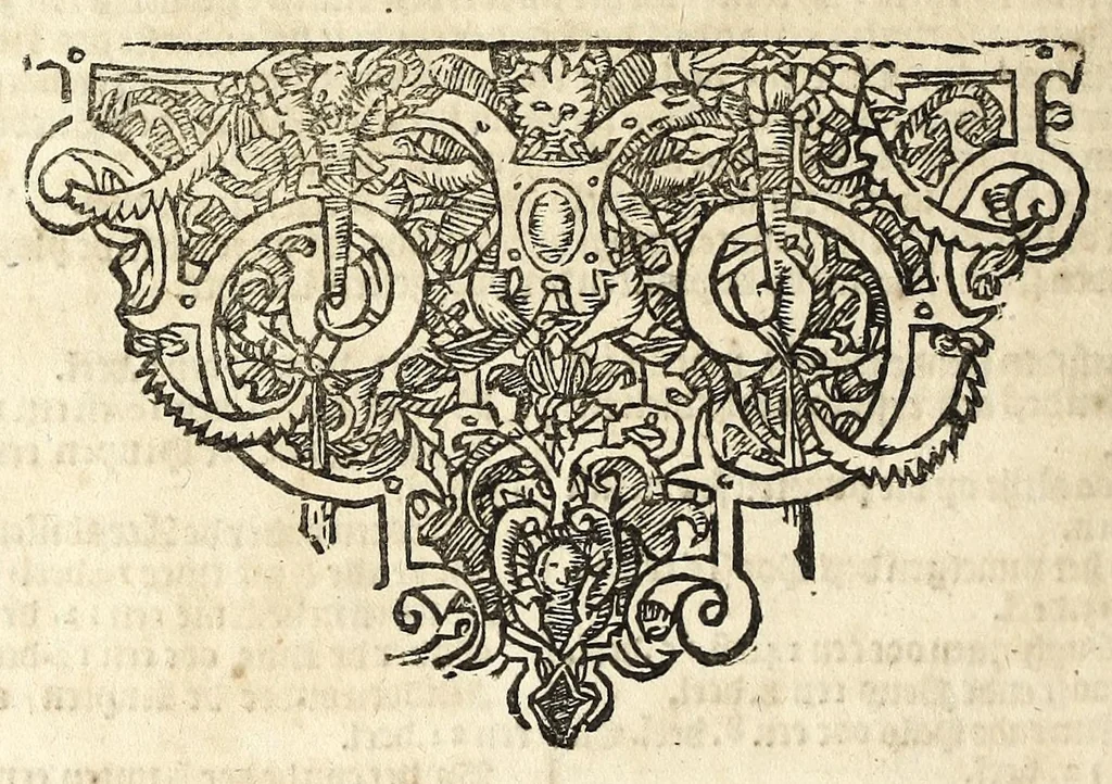 An illustration from Beschryvinghe van Albrecht Durer van de menschelijcke proportion : begrepen in vier onderscheyden boecken, zeer nut ende profijtelijck voor alle lief-hebbers defer konste : in't latijn ende hooghduytsch, tot Nurenbergh ghedruct, tot koste van syne nae-ghelaten weduvve, in't iaer ons Heeren 1527 : ende nu in onse Nederlandtsche sprake over-gheset, tot dienste der ghener die de konste beminnen, ende de latijnsche ofte hooghduytsche sprake niet en cerstaen, 1622, leaf 18