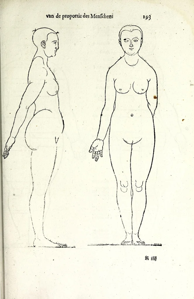An illustration from Beschryvinghe van Albrecht Durer van de menschelijcke proportion : begrepen in vier onderscheyden boecken, zeer nut ende profijtelijck voor alle lief-hebbers defer konste : in't latijn ende hooghduytsch, tot Nurenbergh ghedruct, tot koste van syne nae-ghelaten weduvve, in't iaer ons Heeren 1527 : ende nu in onse Nederlandtsche sprake over-gheset, tot dienste der ghener die de konste beminnen, ende de latijnsche ofte hooghduytsche sprake niet en cerstaen, 1622, leaf 203