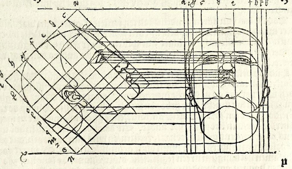 An illustration from Beschryvinghe van Albrecht Durer van de menschelijcke proportion : begrepen in vier onderscheyden boecken, zeer nut ende profijtelijck voor alle lief-hebbers defer konste : in't latijn ende hooghduytsch, tot Nurenbergh ghedruct, tot koste van syne nae-ghelaten weduvve, in't iaer ons Heeren 1527 : ende nu in onse Nederlandtsche sprake over-gheset, tot dienste der ghener die de konste beminnen, ende de latijnsche ofte hooghduytsche sprake niet en cerstaen, 1622, leaf 247