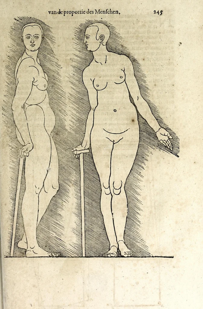 An illustration from Beschryvinghe van Albrecht Durer van de menschelijcke proportion : begrepen in vier onderscheyden boecken, zeer nut ende profijtelijck voor alle lief-hebbers defer konste : in't latijn ende hooghduytsch, tot Nurenbergh ghedruct, tot koste van syne nae-ghelaten weduvve, in't iaer ons Heeren 1527 : ende nu in onse Nederlandtsche sprake over-gheset, tot dienste der ghener die de konste beminnen, ende de latijnsche ofte hooghduytsche sprake niet en cerstaen, 1622, leaf 263