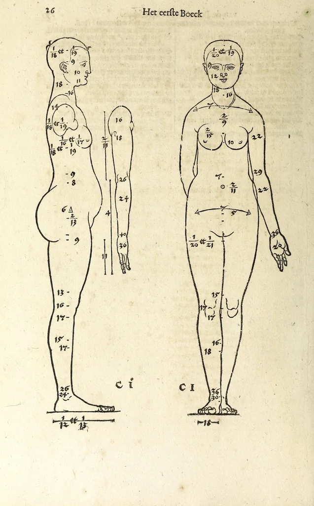 An illustration from Beschryvinghe van Albrecht Durer van de menschelijcke proportion : begrepen in vier onderscheyden boecken, zeer nut ende profijtelijck voor alle lief-hebbers defer konste : in't latijn ende hooghduytsch, tot Nurenbergh ghedruct, tot koste van syne nae-ghelaten weduvve, in't iaer ons Heeren 1527 : ende nu in onse Nederlandtsche sprake over-gheset, tot dienste der ghener die de konste beminnen, ende de latijnsche ofte hooghduytsche sprake niet en cerstaen, 1622, leaf 34