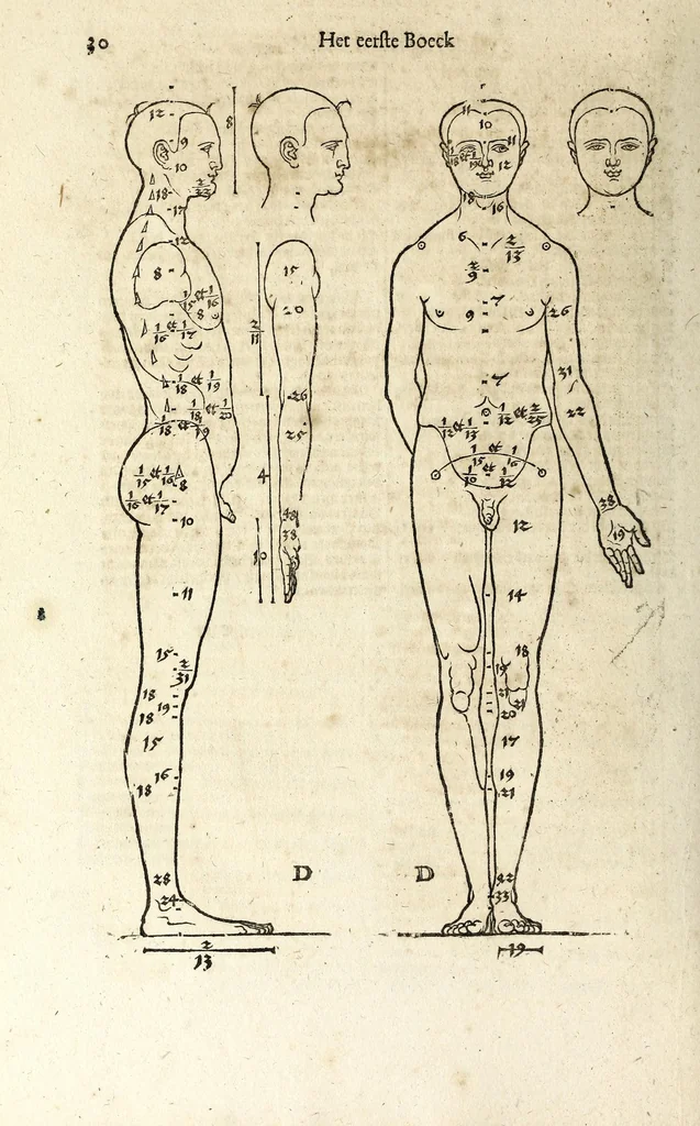 An illustration from Beschryvinghe van Albrecht Durer van de menschelijcke proportion : begrepen in vier onderscheyden boecken, zeer nut ende profijtelijck voor alle lief-hebbers defer konste : in't latijn ende hooghduytsch, tot Nurenbergh ghedruct, tot koste van syne nae-ghelaten weduvve, in't iaer ons Heeren 1527 : ende nu in onse Nederlandtsche sprake over-gheset, tot dienste der ghener die de konste beminnen, ende de latijnsche ofte hooghduytsche sprake niet en cerstaen, 1622, leaf 38