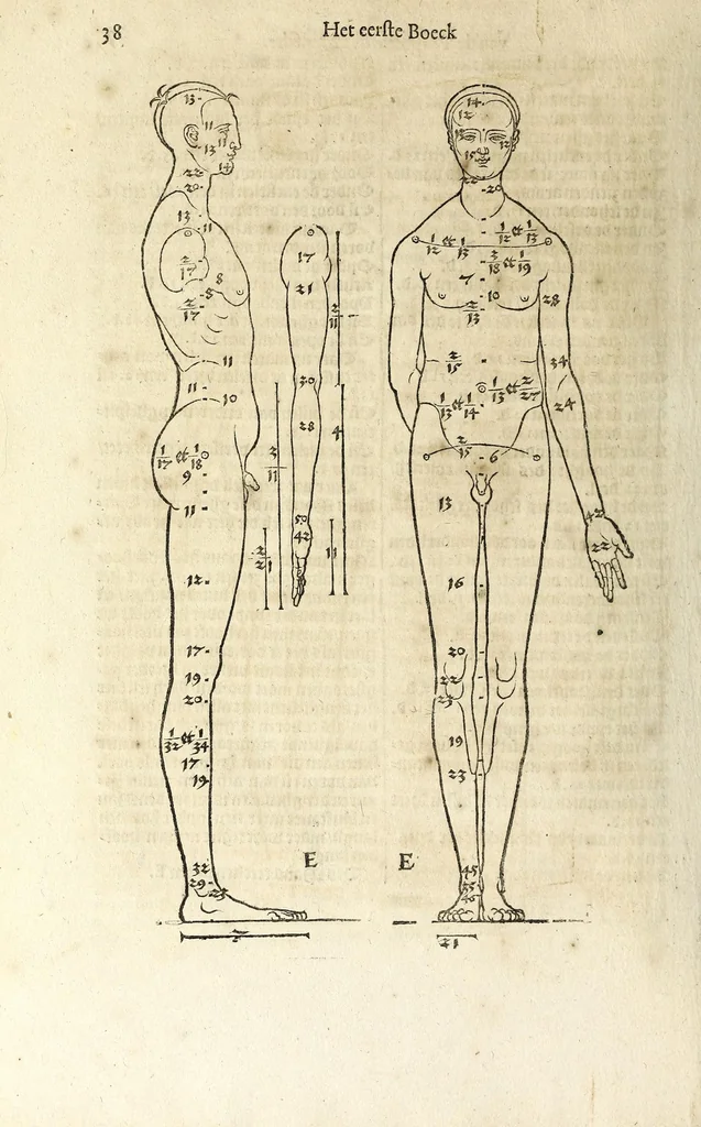 An illustration from Beschryvinghe van Albrecht Durer van de menschelijcke proportion : begrepen in vier onderscheyden boecken, zeer nut ende profijtelijck voor alle lief-hebbers defer konste : in't latijn ende hooghduytsch, tot Nurenbergh ghedruct, tot koste van syne nae-ghelaten weduvve, in't iaer ons Heeren 1527 : ende nu in onse Nederlandtsche sprake over-gheset, tot dienste der ghener die de konste beminnen, ende de latijnsche ofte hooghduytsche sprake niet en cerstaen, 1622, leaf 46