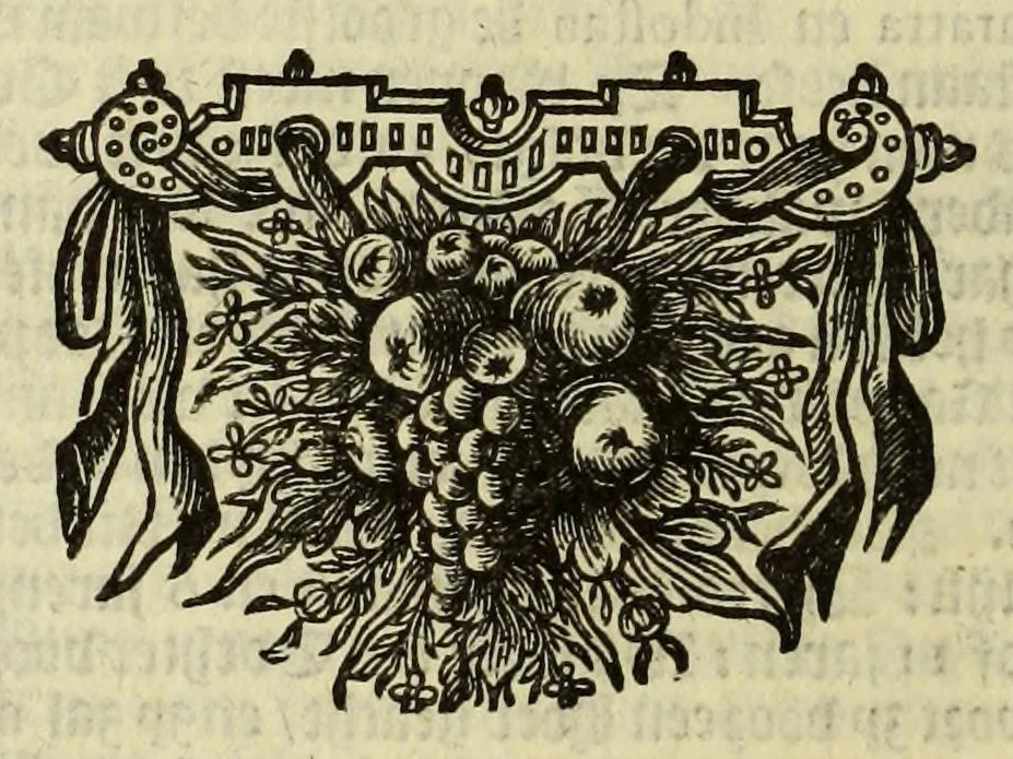 An illustration from Beschryvingh van de gedenkwaerdige zee- en landt-reyze, deur Persien naar Oost-Indien,, 1658, leaf 112