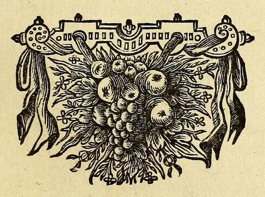 An illustration from Beschryvingh van de gedenkwaerdige zee- en landt-reyze, deur Persien naar Oost-Indien,, 1658, leaf 9
