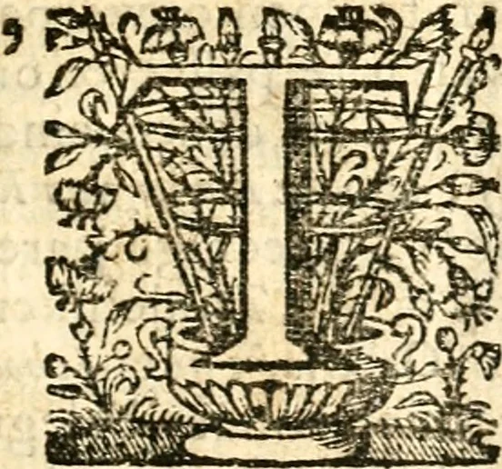 An illustration from Beschryving van Louisania, nieuwelijks ontdekt ten zuidwesten van Niew-Vrankryk, door order van den Koning, 1688, leaf 14