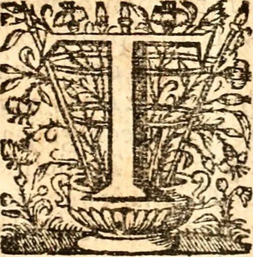 An illustration from Beschryving van Louisania, nieuwelijks ontdekt ten zuidwesten van Niew-Vrankryk, door order van den Koning, 1688, leaf 16