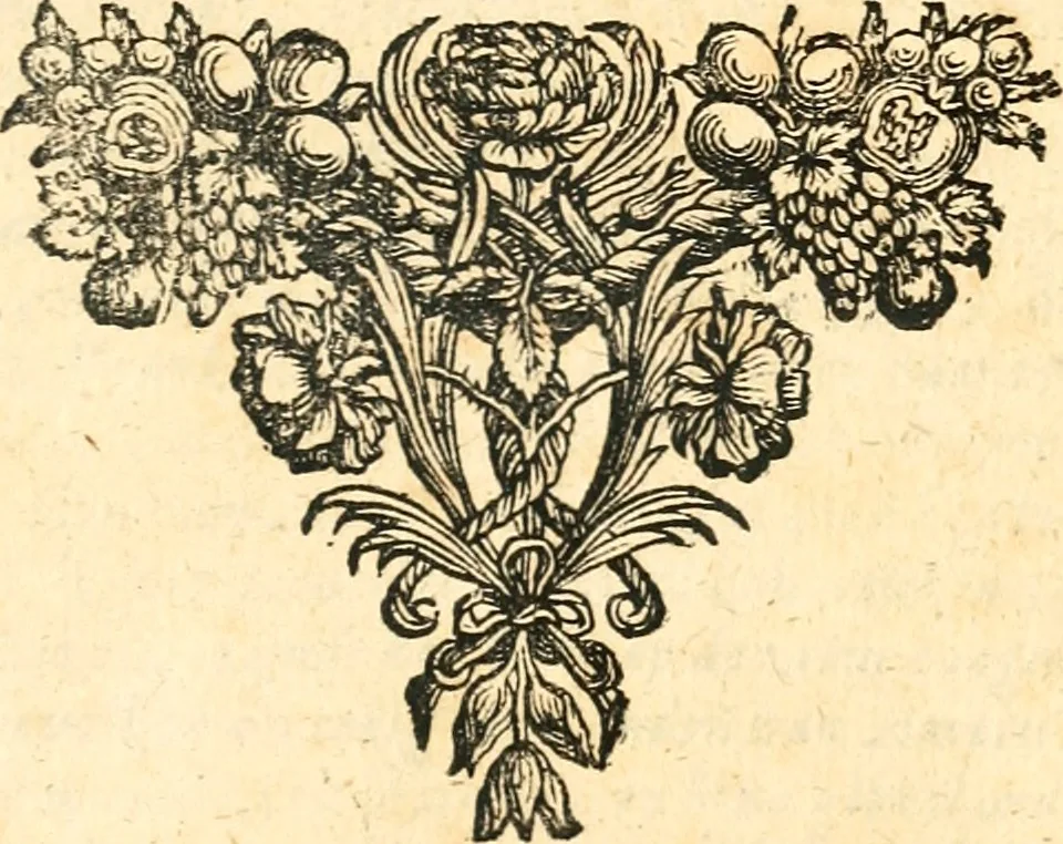 An illustration from Beschryving van Louisania, nieuwelijks ontdekt ten zuidwesten van Niew-Vrankryk, door order van den Koning, 1688, leaf 188