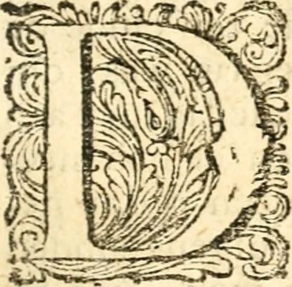 An illustration from Beschryving van Louisania, nieuwelijks ontdekt ten zuidwesten van Niew-Vrankryk, door order van den Koning, 1688, leaf 192