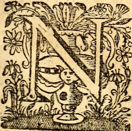 An illustration from Beschryving van Louisania, nieuwelijks ontdekt ten zuidwesten van Niew-Vrankryk, door order van den Koning, 1688, leaf 282
