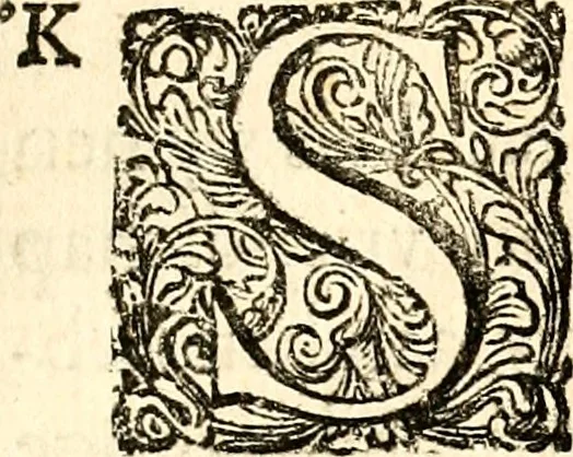 An illustration from Beschryving van Louisania, nieuwelijks ontdekt ten zuidwesten van Niew-Vrankryk, door order van den Koning, 1688, leaf 8