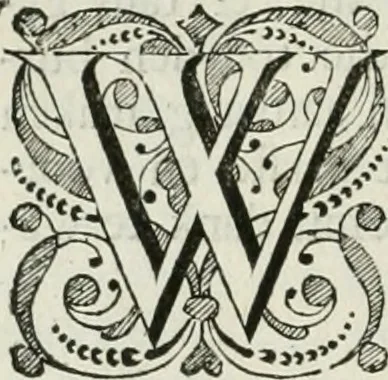 An illustration from Beschryving van's Graven-hage, 1730, leaf 171