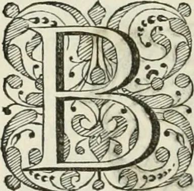 An illustration from Beschryving van's Graven-hage, 1730, leaf 499