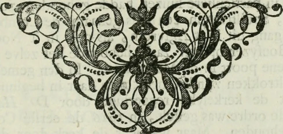 An illustration from Beschryving van's Graven-hage, 1730, leaf 514
