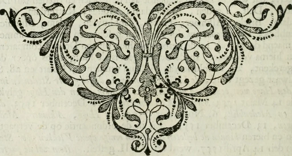 An illustration from Beschryving van's Graven-hage, 1730, leaf 55