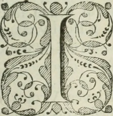 An illustration from Beschryving van's Graven-hage, 1730, leaf 556