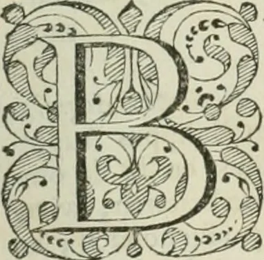 An illustration from Beschryving van's Graven-hage, 1730, leaf 580
