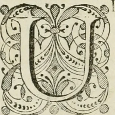 An illustration from Beschryving van's Graven-hage, 1730, leaf 119