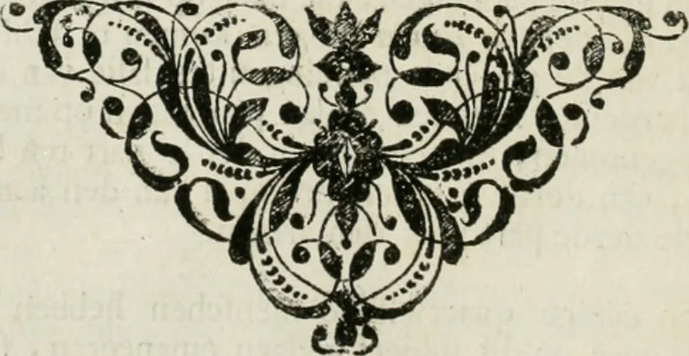 An illustration from Beschryving van's Graven-hage, 1730, leaf 183