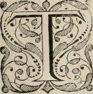 An illustration from Beschryving van's Graven-hage, 1730, leaf 8
