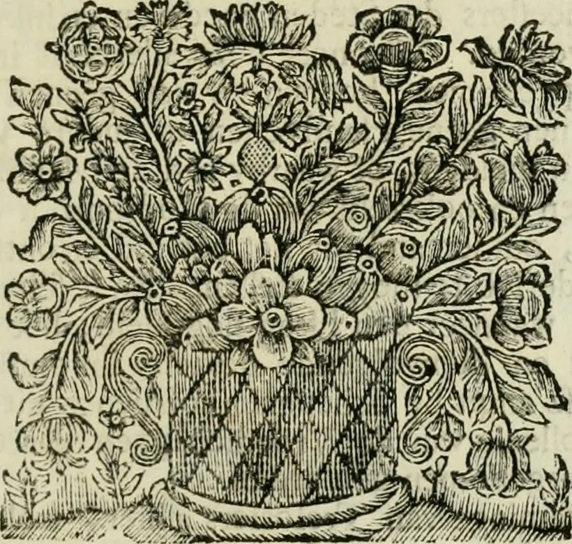 An illustration from Beschryving van's Graven-hage, 1730, leaf 110