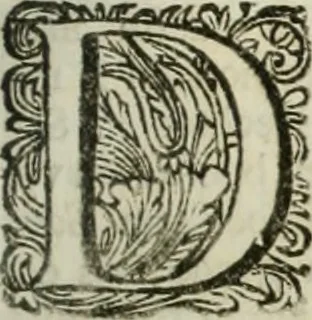 An illustration from Beschryving van's Graven-hage, 1730, leaf 202