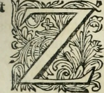 An illustration from Beschryving van's Graven-hage, 1730, leaf 236