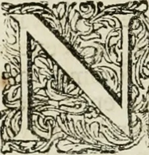 An illustration from Beschryving van's Graven-hage, 1730, leaf 303