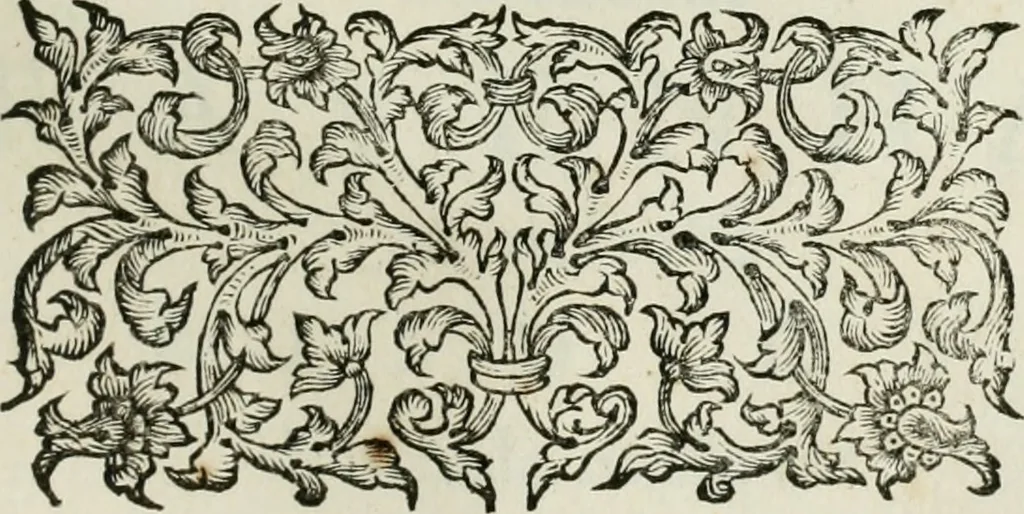 An illustration from Beschryving van's Graven-hage, 1730, leaf 308