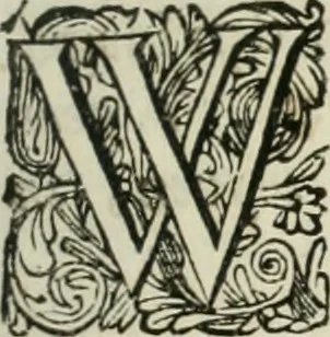 An illustration from Beschryving van's Graven-hage, 1730, leaf 312