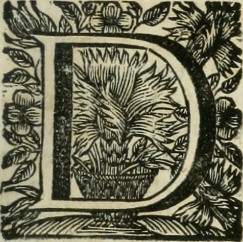 An illustration from Beschryving van's Graven-hage, 1730, leaf 542
