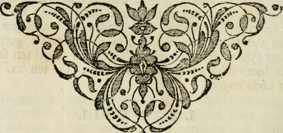 An illustration from Beschryving van's Graven-hage, 1730, leaf 611