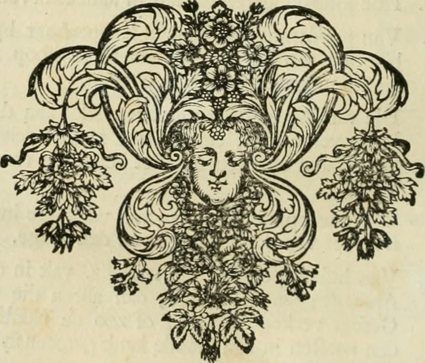 An illustration from Beschryving van's Graven-hage, 1730, leaf 617
