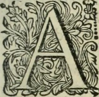 An illustration from Beschryving van's Graven-hage, 1730, leaf 76