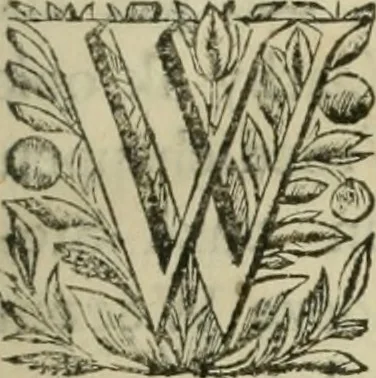An illustration from Beschryving van's Graven-hage, 1730, leaf 8