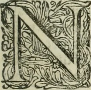 An illustration from Beschryving van's Graven-hage, 1730, leaf 84