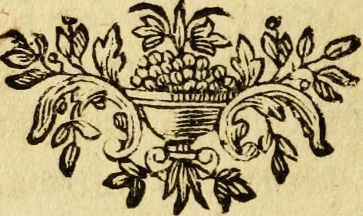 An illustration from Betrachtungen über das Universum, 1778, leaf 155