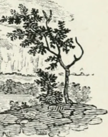 An illustration from The Bewick collector. A descriptive catalogue of the works of Thomas and John Bewick; including cuts, in various states, for books and pamphlets, private gentlemen, public companies, exhibitions, races, newspapers, shop cards, invoice heads, bar bills, coal certificates, broadsides, and other miscellaneous purposes, and wood blocks. With an appendix of portraits, autographs, works of pupils, &c. &c. The whole described from the originals contained in the largest and most perfect collection ever formed, and illustrated with a hundred and twelve cuts, 1866, leaf 206
