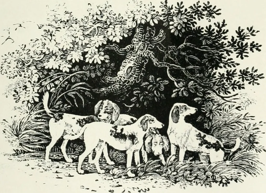 An illustration from The Bewick collector. A descriptive catalogue of the works of Thomas and John Bewick; including cuts, in various states, for books and pamphlets, private gentlemen, public companies, exhibitions, races, newspapers, shop cards, invoice heads, bar bills, coal certificates, broadsides, and other miscellaneous purposes, and wood blocks. With an appendix of portraits, autographs, works of pupils, &c. &c. The whole described from the originals contained in the largest and most perfect collection ever formed, and illustrated with a hundred and twelve cuts, 1866, leaf 28