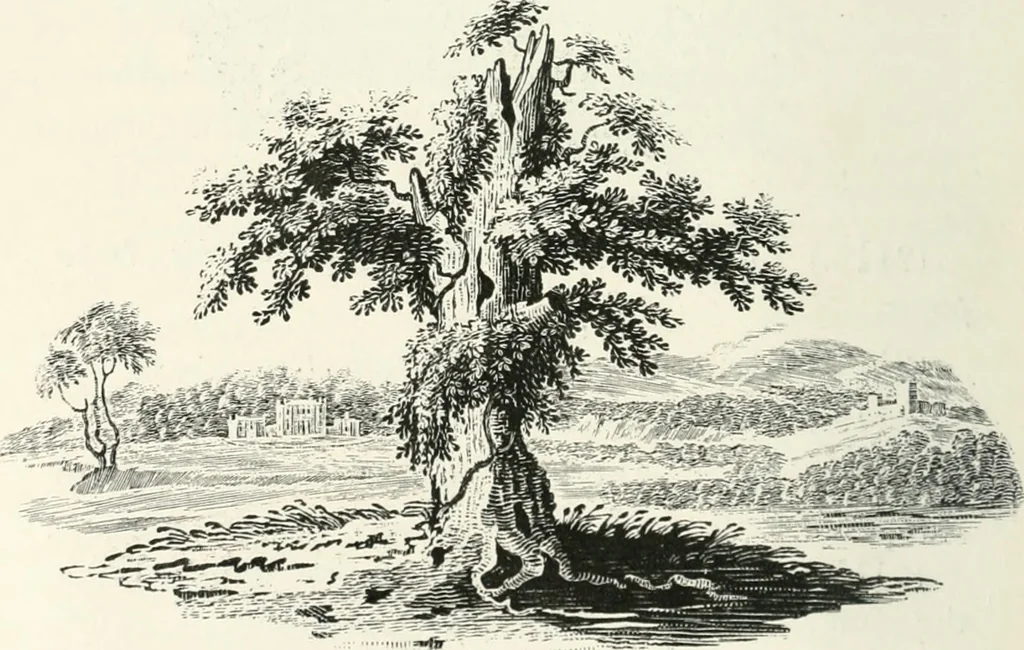 An illustration from The Bewick collector. A descriptive catalogue of the works of Thomas and John Bewick; including cuts, in various states, for books and pamphlets, private gentlemen, public companies, exhibitions, races, newspapers, shop cards, invoice heads, bar bills, coal certificates, broadsides, and other miscellaneous purposes, and wood blocks. With an appendix of portraits, autographs, works of pupils, &c. &c. The whole described from the originals contained in the largest and most perfect collection ever formed, and illustrated with a hundred and twelve cuts, 1866, leaf 351