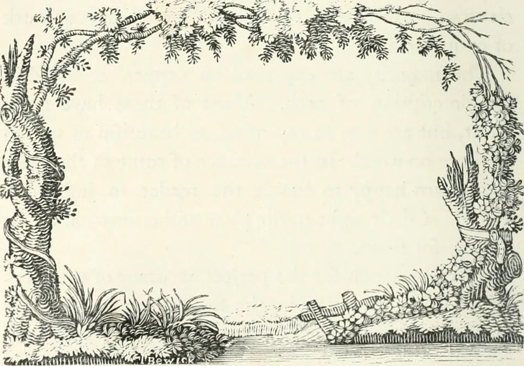 An illustration from The Bewick collector. A descriptive catalogue of the works of Thomas and John Bewick; including cuts, in various states, for books and pamphlets, private gentlemen, public companies, exhibitions, races, newspapers, shop cards, invoice heads, bar bills, coal certificates, broadsides, and other miscellaneous purposes, and wood blocks. With an appendix of portraits, autographs, works of pupils, &c. &c. The whole described from the originals contained in the largest and most perfect collection ever formed, and illustrated with a hundred and twelve cuts, 1866, leaf 377