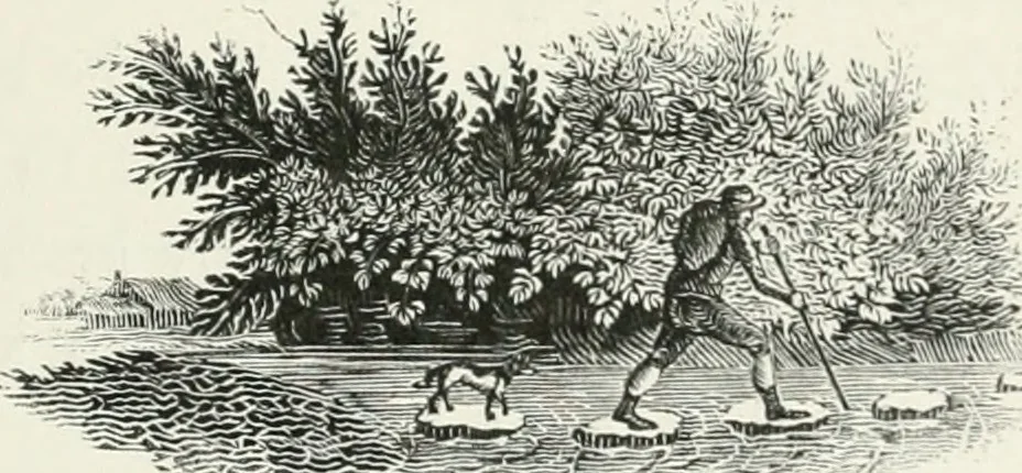 An illustration from The Bewick collector. A descriptive catalogue of the works of Thomas and John Bewick; including cuts, in various states, for books and pamphlets, private gentlemen, public companies, exhibitions, races, newspapers, shop cards, invoice heads, bar bills, coal certificates, broadsides, and other miscellaneous purposes, and wood blocks. With an appendix of portraits, autographs, works of pupils, &c. &c. The whole described from the originals contained in the largest and most perfect collection ever formed, and illustrated with a hundred and twelve cuts, 1866, leaf 458