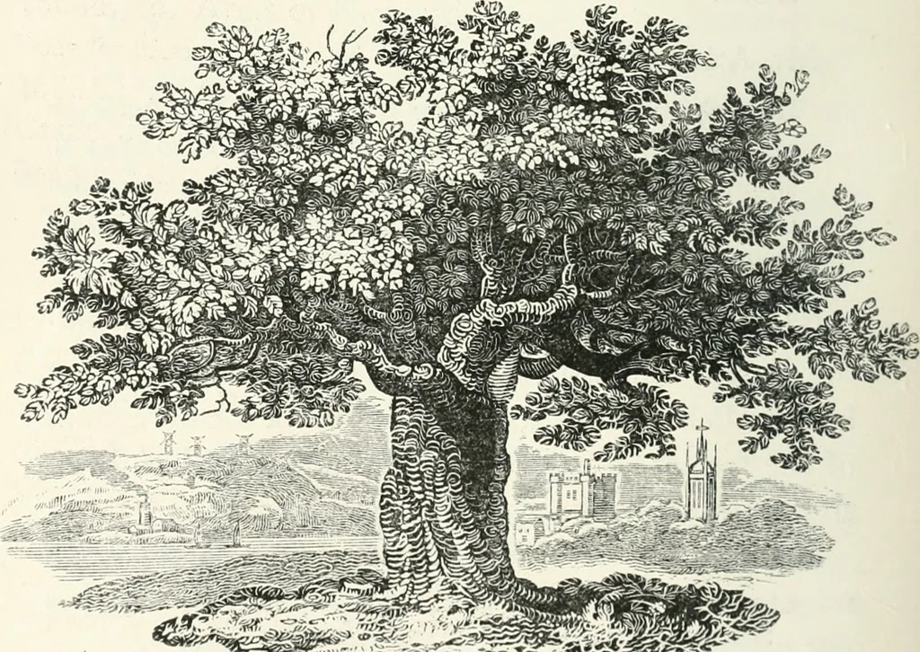 An illustration from The Bewick collector. A descriptive catalogue of the works of Thomas and John Bewick; including cuts, in various states, for books and pamphlets, private gentlemen, public companies, exhibitions, races, newspapers, shop cards, invoice heads, bar bills, coal certificates, broadsides, and other miscellaneous purposes, and wood blocks. With an appendix of portraits, autographs, works of pupils, &c. &c. The whole described from the originals contained in the largest and most perfect collection ever formed, and illustrated with a hundred and twelve cuts, 1866, leaf 473