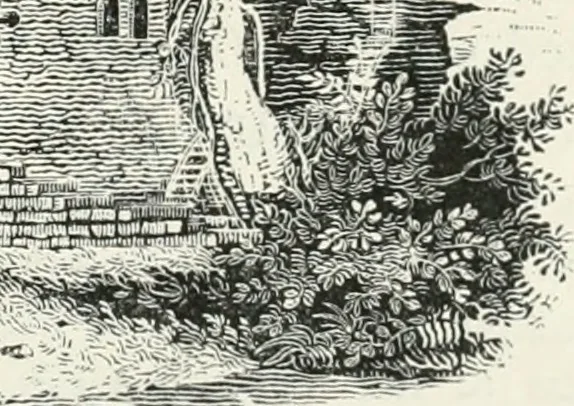 An illustration from The Bewick collector. A descriptive catalogue of the works of Thomas and John Bewick; including cuts, in various states, for books and pamphlets, private gentlemen, public companies, exhibitions, races, newspapers, shop cards, invoice heads, bar bills, coal certificates, broadsides, and other miscellaneous purposes, and wood blocks. With an appendix of portraits, autographs, works of pupils, &c. &c. The whole described from the originals contained in the largest and most perfect collection ever formed, and illustrated with a hundred and twelve cuts, 1866, leaf 478