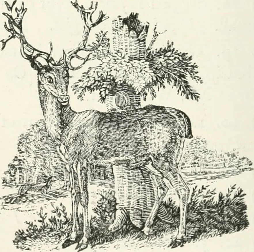 An illustration from The Bewick collector. A descriptive catalogue of the works of Thomas and John Bewick; including cuts, in various states, for books and pamphlets, private gentlemen, public companies, exhibitions, races, newspapers, shop cards, invoice heads, bar bills, coal certificates, broadsides, and other miscellaneous purposes, and wood blocks. With an appendix of portraits, autographs, works of pupils, &c. &c. The whole described from the originals contained in the largest and most perfect collection ever formed, and illustrated with a hundred and twelve cuts, 1866, leaf 485
