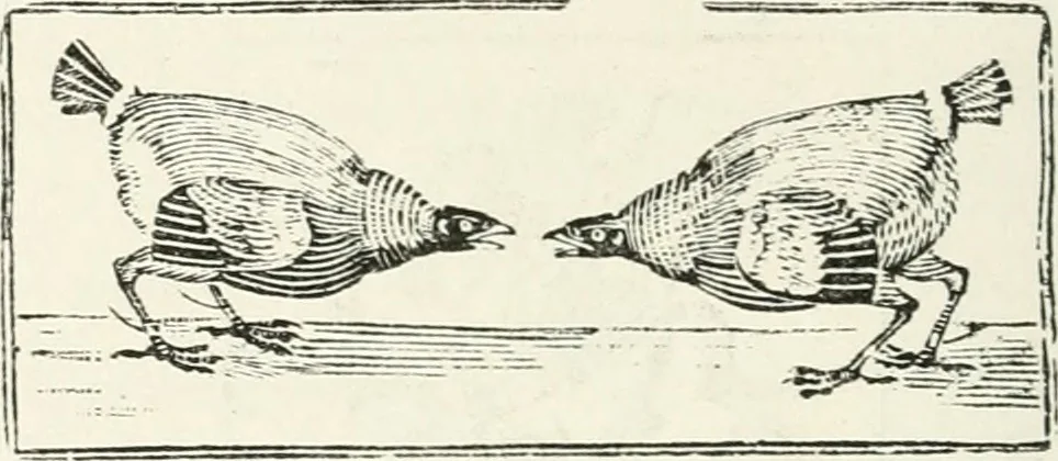 An illustration from The Bewick collector. A descriptive catalogue of the works of Thomas and John Bewick; including cuts, in various states, for books and pamphlets, private gentlemen, public companies, exhibitions, races, newspapers, shop cards, invoice heads, bar bills, coal certificates, broadsides, and other miscellaneous purposes, and wood blocks. With an appendix of portraits, autographs, works of pupils, &c. &c. The whole described from the originals contained in the largest and most perfect collection ever formed, and illustrated with a hundred and twelve cuts, 1866, leaf 499