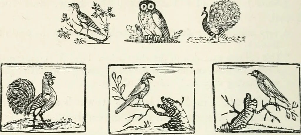 An illustration from The Bewick collector. A descriptive catalogue of the works of Thomas and John Bewick; including cuts, in various states, for books and pamphlets, private gentlemen, public companies, exhibitions, races, newspapers, shop cards, invoice heads, bar bills, coal certificates, broadsides, and other miscellaneous purposes, and wood blocks. With an appendix of portraits, autographs, works of pupils, &c. &c. The whole described from the originals contained in the largest and most perfect collection ever formed, and illustrated with a hundred and twelve cuts, 1866, leaf 501