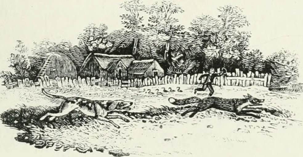 An illustration from The Bewick collector. A descriptive catalogue of the works of Thomas and John Bewick; including cuts, in various states, for books and pamphlets, private gentlemen, public companies, exhibitions, races, newspapers, shop cards, invoice heads, bar bills, coal certificates, broadsides, and other miscellaneous purposes, and wood blocks. With an appendix of portraits, autographs, works of pupils, &c. &c. The whole described from the originals contained in the largest and most perfect collection ever formed, and illustrated with a hundred and twelve cuts, 1866, leaf 502